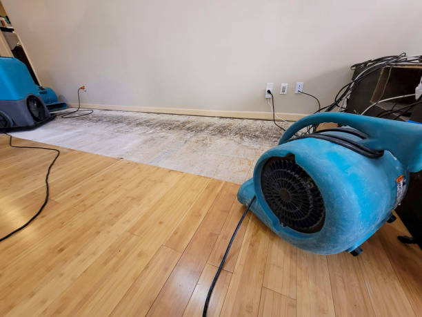 Professional Flood Damage Cleanup technician working in Herriman, UT